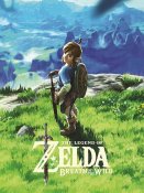 The Legend of Zelda: Breath of the Wild Wii U (Begagnad)