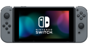 Nintendo Switch (Gr) Konsoll (Begagnad)